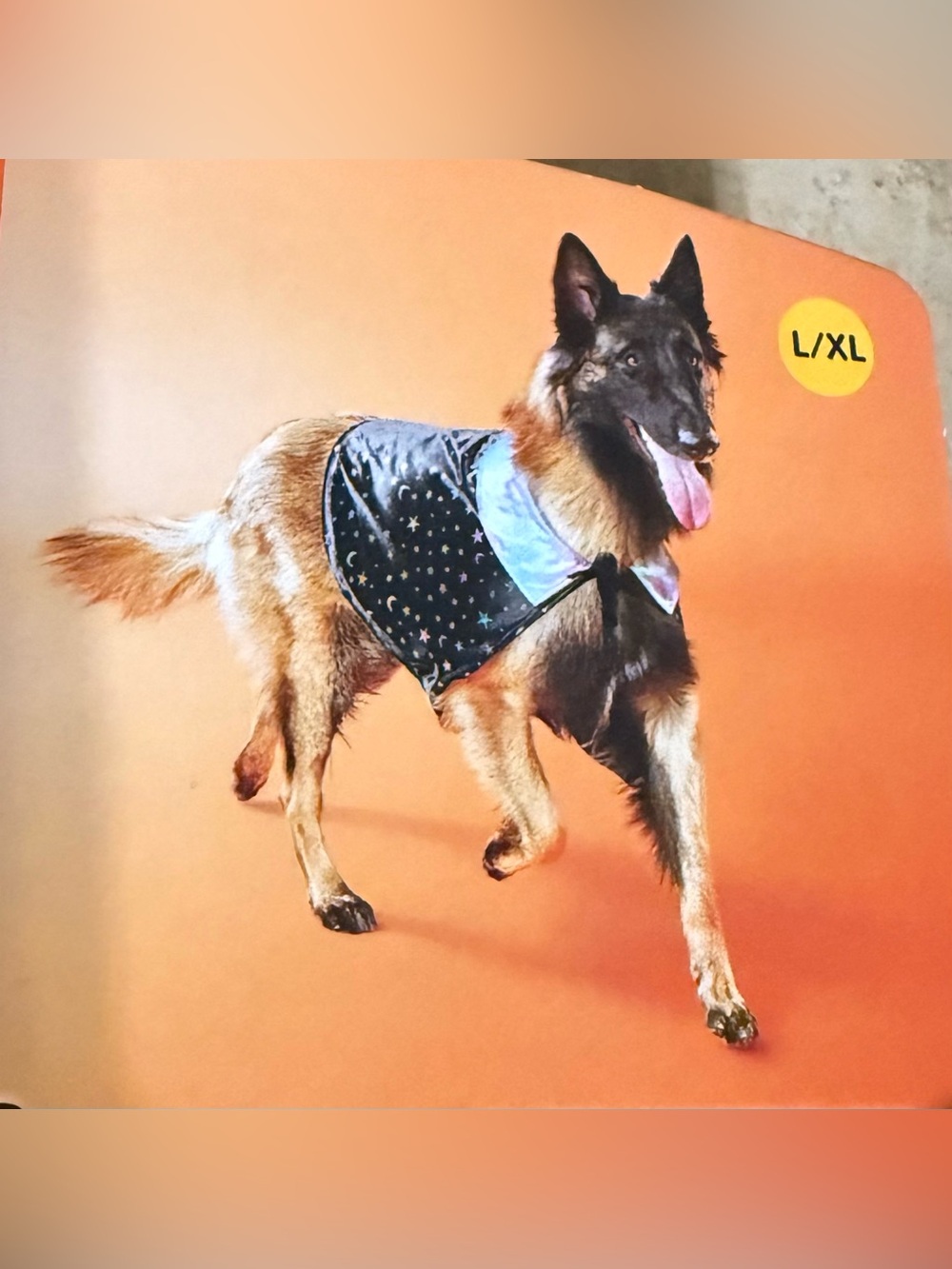 Boots & Barkley Wizard Dog Costume Size (L-XL)